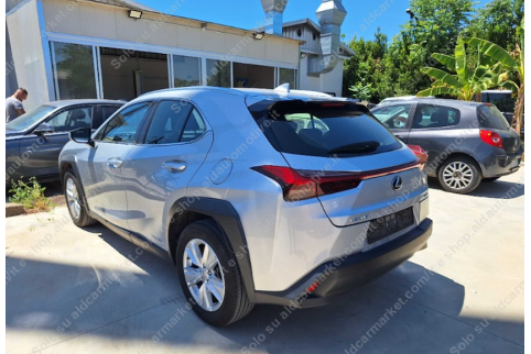2021 Lexus UX 250h, Benzinas / Elektra